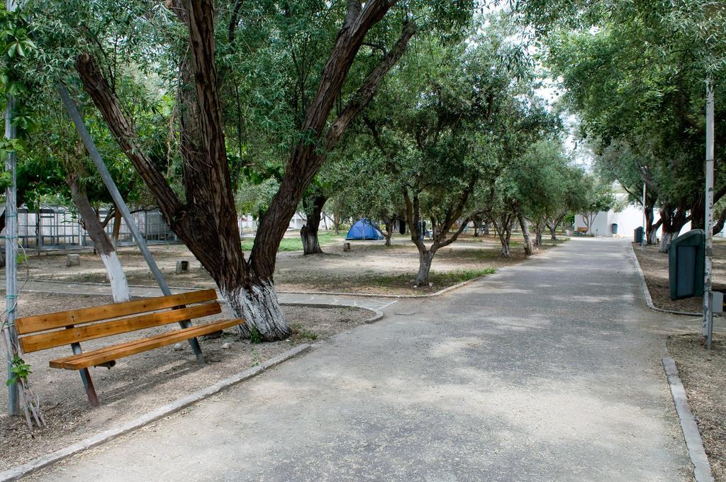 Koula * פארוס