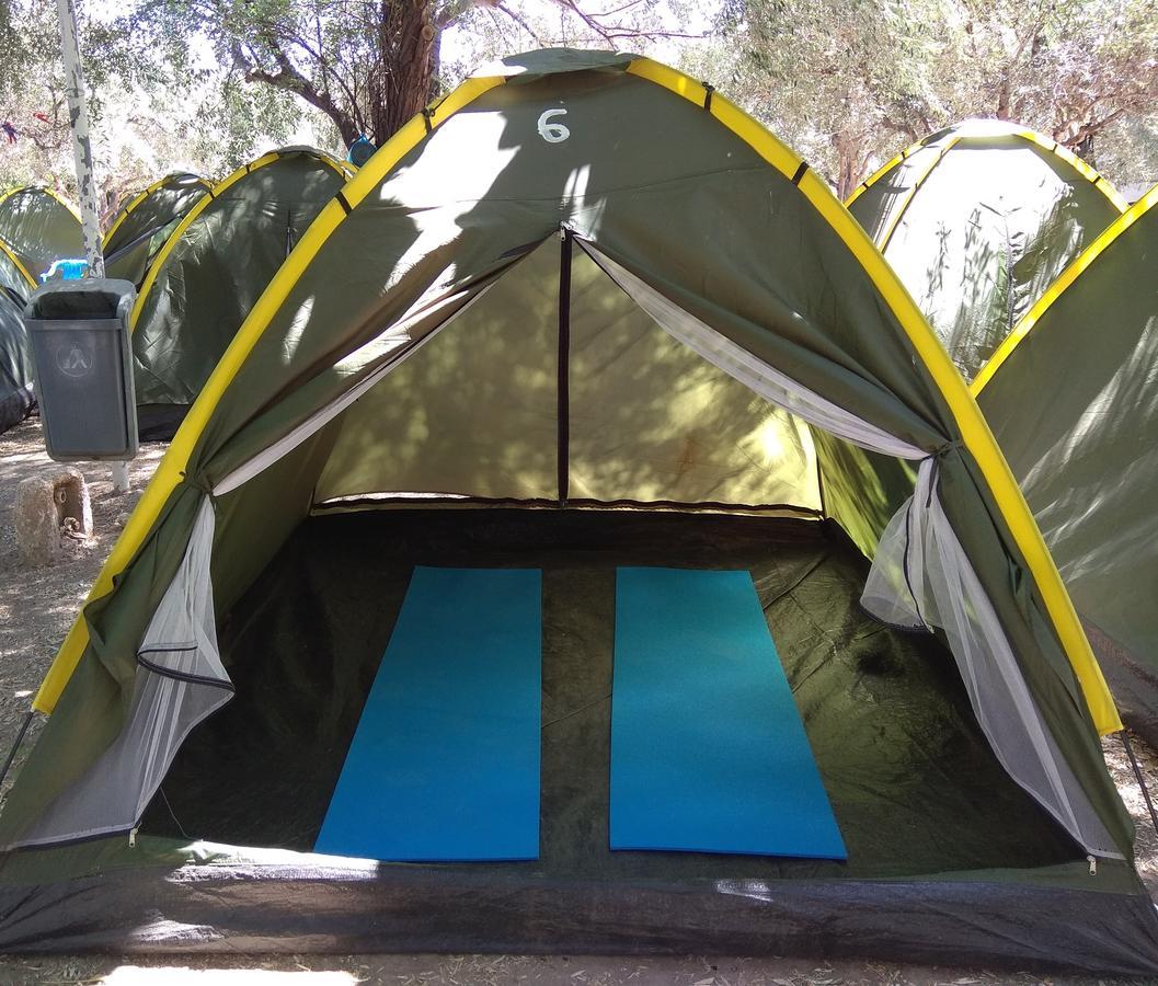 Koula * פארוס
