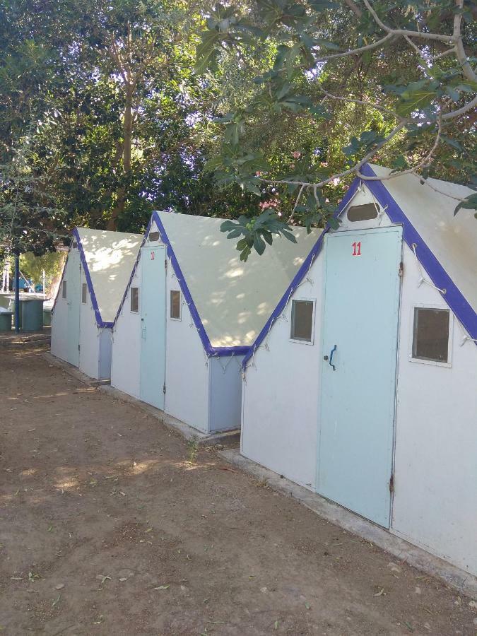 Koula * פארוס
