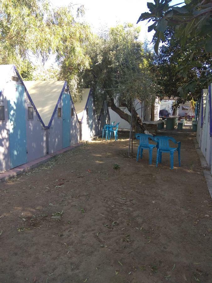 Koula פארוס